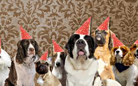 Happy Birthday From All Of Us birthday ecard with dogs