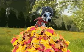 Warm Autumn Wishes dog ecard