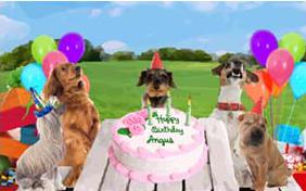 Birthday Fun birthday ecard with dogs