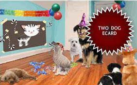 Birthday Agenda ecard with two dogs