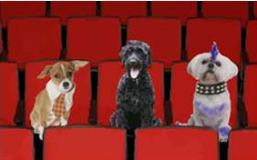 Birthday Band Auditions ecard with dogs