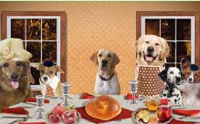 Rosh Hashanah Challah dog ecard