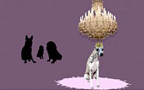 It's Your Birthday ecard with dogs