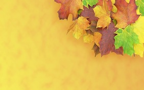 Autumn Fall Thanksgiving Leaves