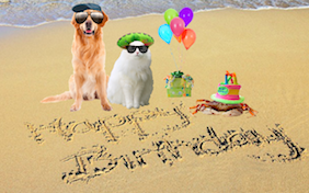 Build your own birthday ecard