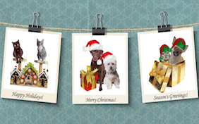 Build your own holiday ecard