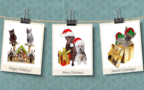 Build your own Christmas ecard