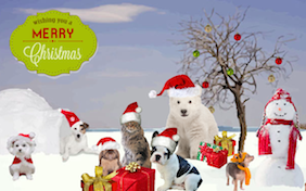 Build your own Christmas ecard