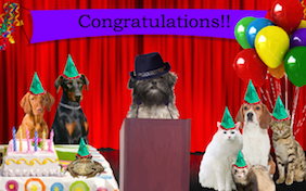 Build your own congratulations ecard