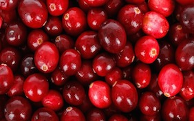 Cranberries Thanksgiving Christmas Holiday