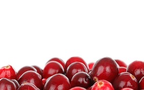 Cranberries Thanksgiving Christmas Holiday