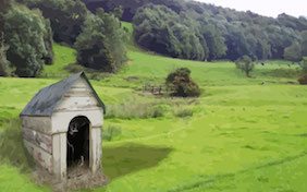 Dog house outside