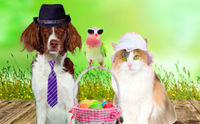 Build your own Easter ecard