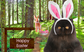 Build your own Easter ecard