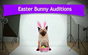 Build your own Easter ecard
