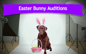 Build your own Easter ecard