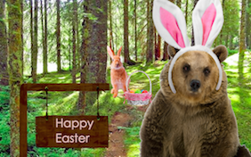Build your own Easter ecard