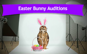 Build your own Easter ecard