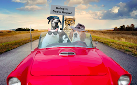 Build your own Father's Day ecard