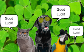 Build your own good luck ecard