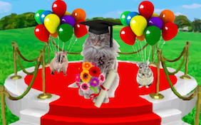 Build your own graduation ecard