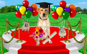 Build your own graduation ecard