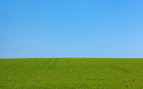 Outside grass sky field nature