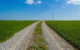 Grass road outside