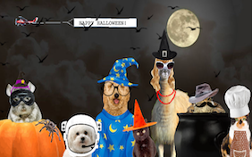 Build your own halloween ecard