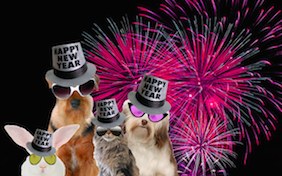 Build your own Happy New Year ecard