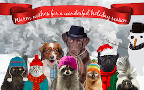 Build your own holiday ecard
