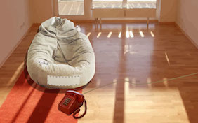 Dog bed inside