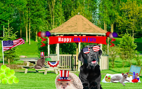 Build your own July 4th ecard