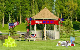 July 4th bbq outside park fourth independence day