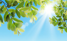 Sunny day spring summer outside