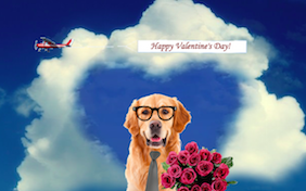 Build your own Valentine's Day ecard