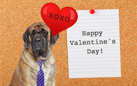 Build your own Valentine's Day ecard