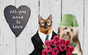 Build your own Valentine's Day ecard