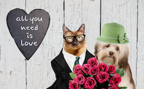 Build your own love ecard