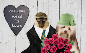 Build your own love ecard