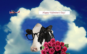Build your own Valentine's Day ecard
