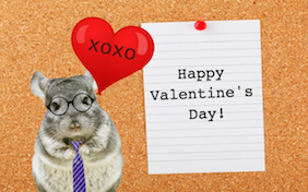 Build your own Valentine's Day ecard