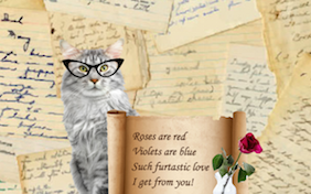 Build your own thinking of you ecard