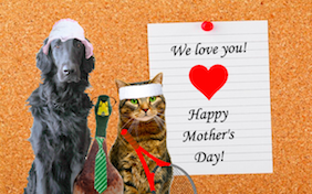 Build your own Mother's Day ecard