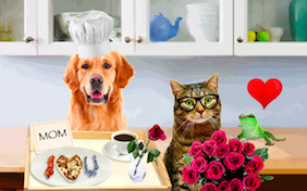 Build your own Mother's Day ecard