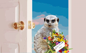 Build your own Mother's Day ecard
