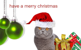 Build your own Christmas ecard