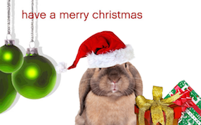 Build your own Christmas ecard