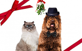 Build your own Christmas ecard
