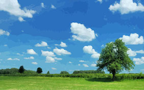 Outside grassy field nature